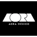 aora-makeup-discount-code